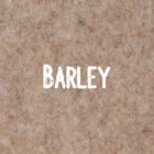 Campervan carpet close up - Barley